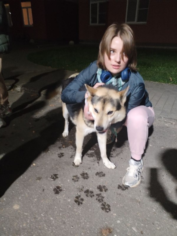 Found white dog in Zvenigorod — identification photo, lost & found pet database Pathfinder