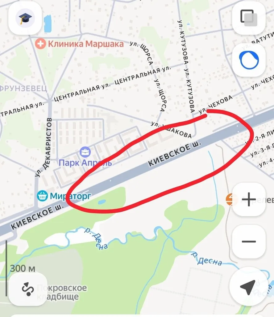 Found dog in Aprelevka — identification photo, lost & found pet database Pathfinder