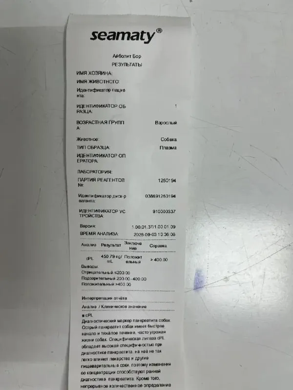 Adoptable dog in Nizhny Novgorod — identification photo, lost & found pet database Pathfinder