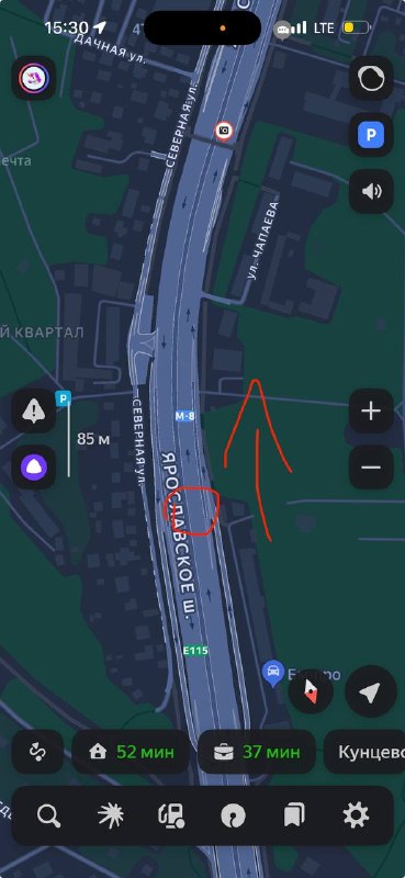 Found dog, джек рассел in Korolev — identification photo, lost & found pet database Pathfinder