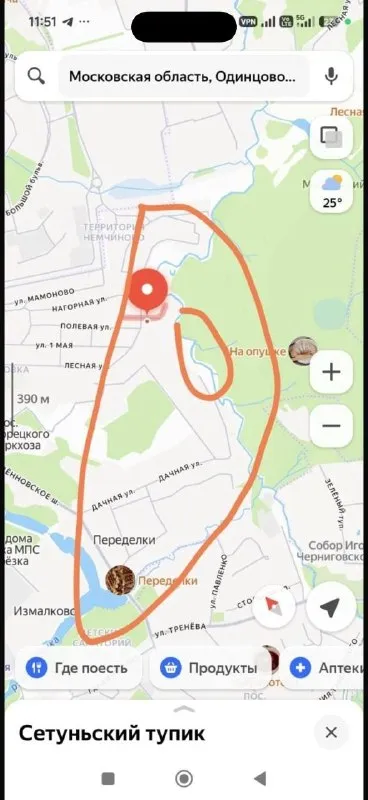 Lost brown dog, овчарка in Meshcherskiy Park — identification photo, lost & found pet database Pathfinder