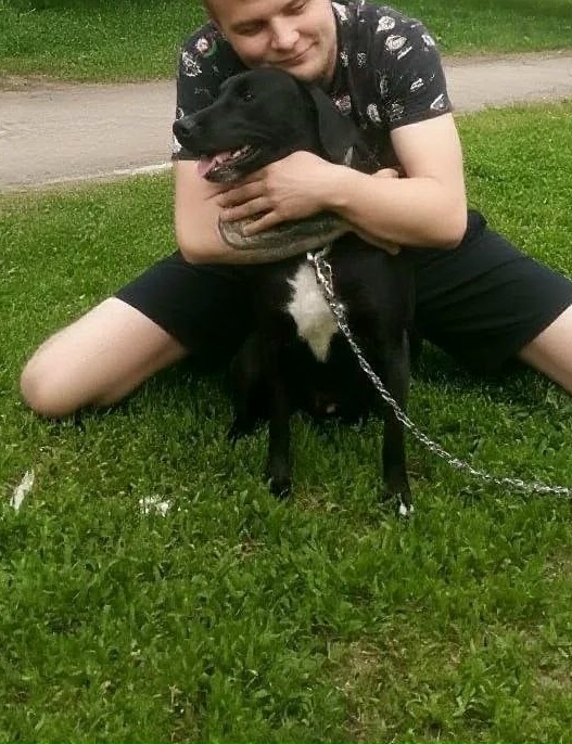 Lost black dog in Novosibirsk — identification photo, lost & found pet database Pathfinder