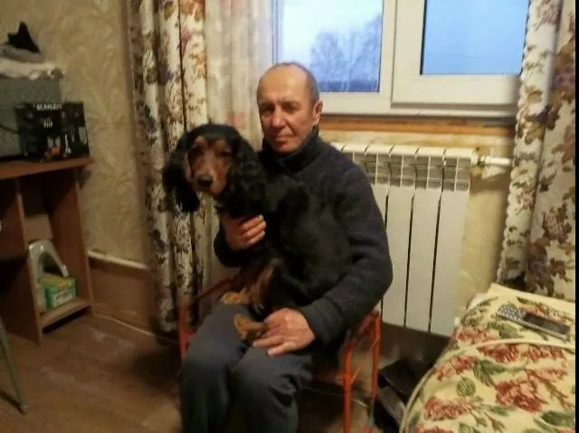 Lost dog, спаниель in Sergiev Posad — identification photo, lost & found pet database Pathfinder