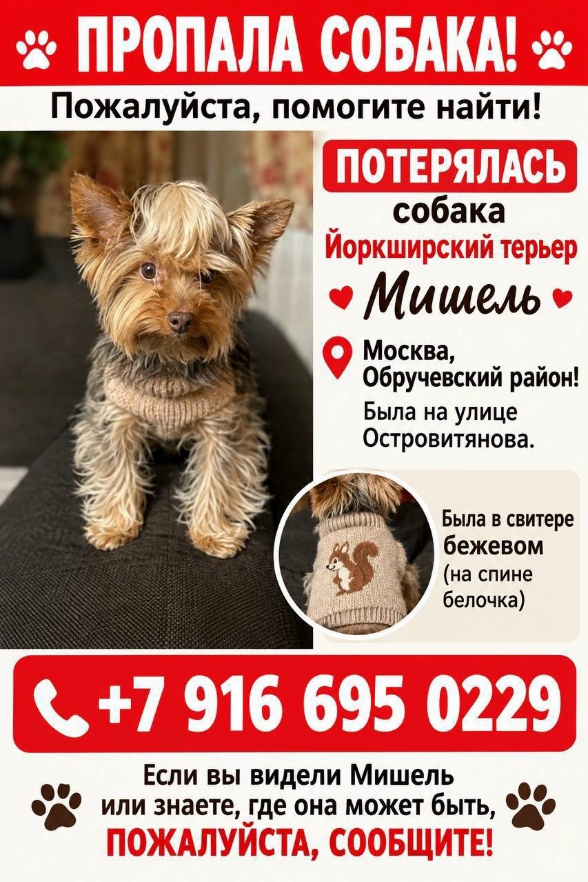 Lost brown pet in Moscow — identification photo, lost & found pet database Pathfinder