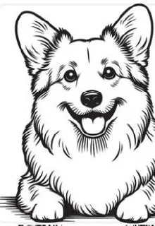 Found dog, корги in Moscow — identification photo, lost & found pet database Pathfinder