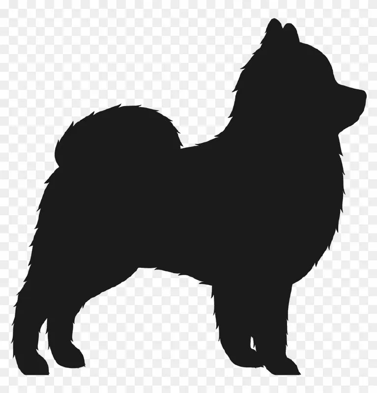 Found dog, метис in Odintsovo — identification photo, lost & found pet database Pathfinder