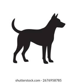 Found dog, дворняжка in Novosibirsk — identification photo, lost & found pet database Pathfinder