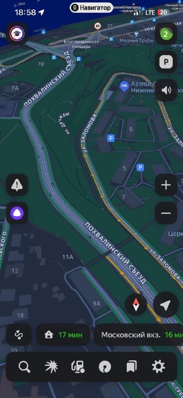 Found dog, борзая in Nizhny Novgorod — identification photo, lost & found pet database Pathfinder